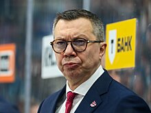 Воробьев – кандидат на пост главного тренера «Торпедо» (Metaratings)