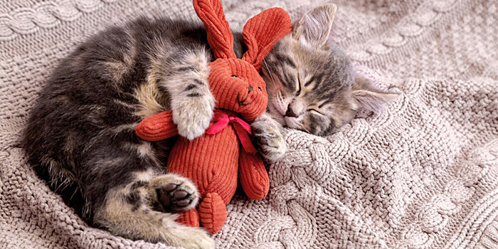 Какой праздник отмечается 30 сентября