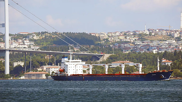 Центр в Стамбуле одобрил движение двух судов из портов Украины