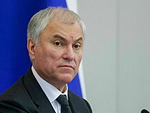 Володин: Советские солдаты и ленинградцы стойко защищали Родину