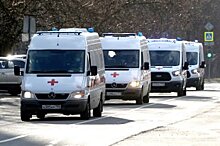 Володин назвал обоснованными ограничения в Москве в связи с коронавирусом