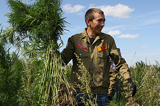Как говорить о наркотиках в России по мнению властей: легализация — зло, Запад не прав
