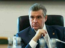 ЛДПР продолжает борьбу