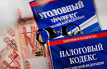РИА Новости: владельцев самиздата «Батенька, да вы трансформер» заподозрили в неуплате налогов
