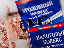 РИА Новости: владельцев самиздата «Батенька, да вы трансформер» заподозрили в неуплате налогов
