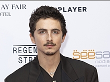 Тимоти Шаламе прогулялся по улице с сумкой за миллион рублей