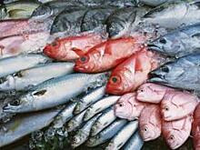 Вьетнам готов расширить экспорт рыбы и морепродуктов в Россию