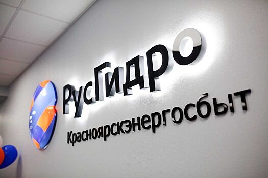 Жители Красноярска и Шарыпово могут записаться на прием к специалистам Красноярскэнергосбыта онлайн