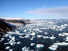 За три месяца российские ученые не смогли найти в Арктике "настоящий" лед
