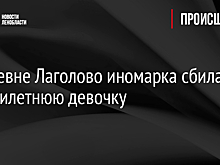 В деревне Лаголово иномарка сбила восьмилетнюю девочку