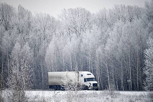 Фуры намертво заблокировали въезд в Москву и область по двум шоссе