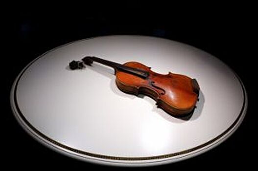 Конфискованную старинную скрипку передали в нижегородский музей