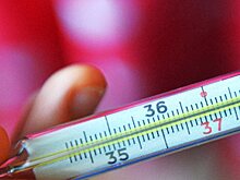 Минздрав предупредил о зимнем пике эпидемии гриппа в РФ