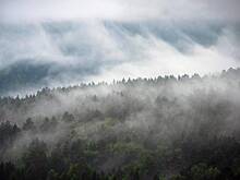 Появилась новая деталь в деле об исчезновении семьи Усольцевых