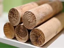 На Костромском деревообрабатывающем заводе освоили выпуск березовых дров из древесных отходов