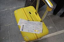 Пассажира Пулково могут наказать за шутку о бомбе в багаже