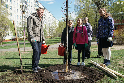 Нравятся ли вам граффити, которые появляются на улицах Москвы?