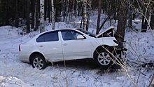 На машине была старая резина: на Серовском тракте Skoda улетела в дерево