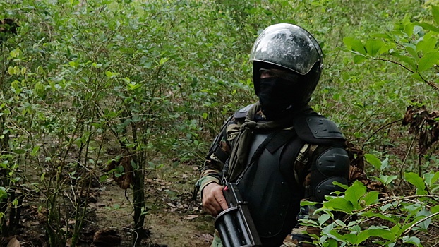 Unitel: полиция Боливии сожгла выпавшие из разбившегося самолета деньги