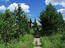 35-градусная жара нагрянет в Красноярский край 7 сентября