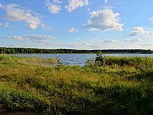 На томском озере Беленькое создадут природный парк