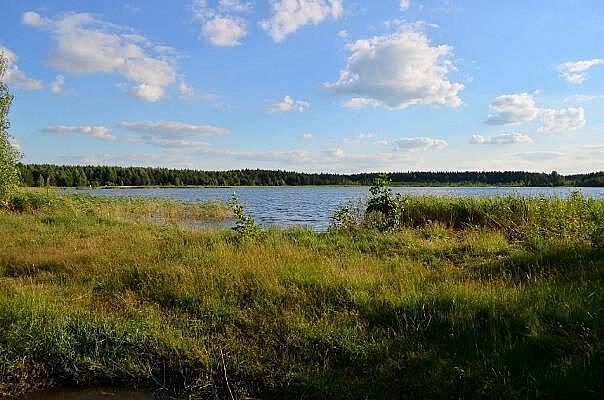 На томском озере Беленькое создадут природный парк