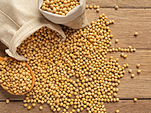 Китайская корпорация COFCO закупила 840 тысяч тонн сои из США для отгрузки в декабре и январе