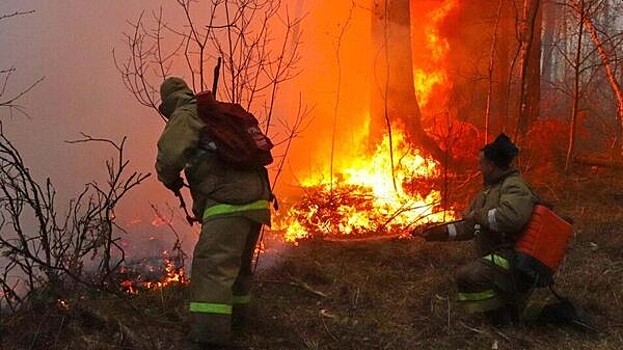 Сильный пожар произошел в заповеднике "Бастак"