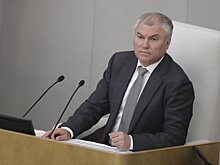 Спикер Госдумы Володин назвал G7 «паразитами»