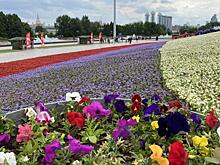 В Курске выберут самую благоустроенную территорию образовательного учреждения