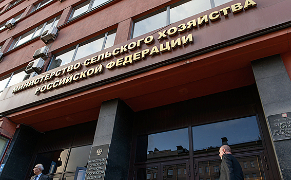 «Российские свиньи перестали доиться, а помидоры - краснеть»