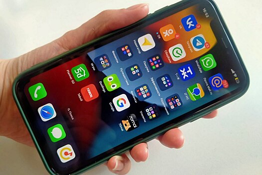 Пользуются только 29% новосибирцев: как разделилось мнение о новом мессенджере МАХ