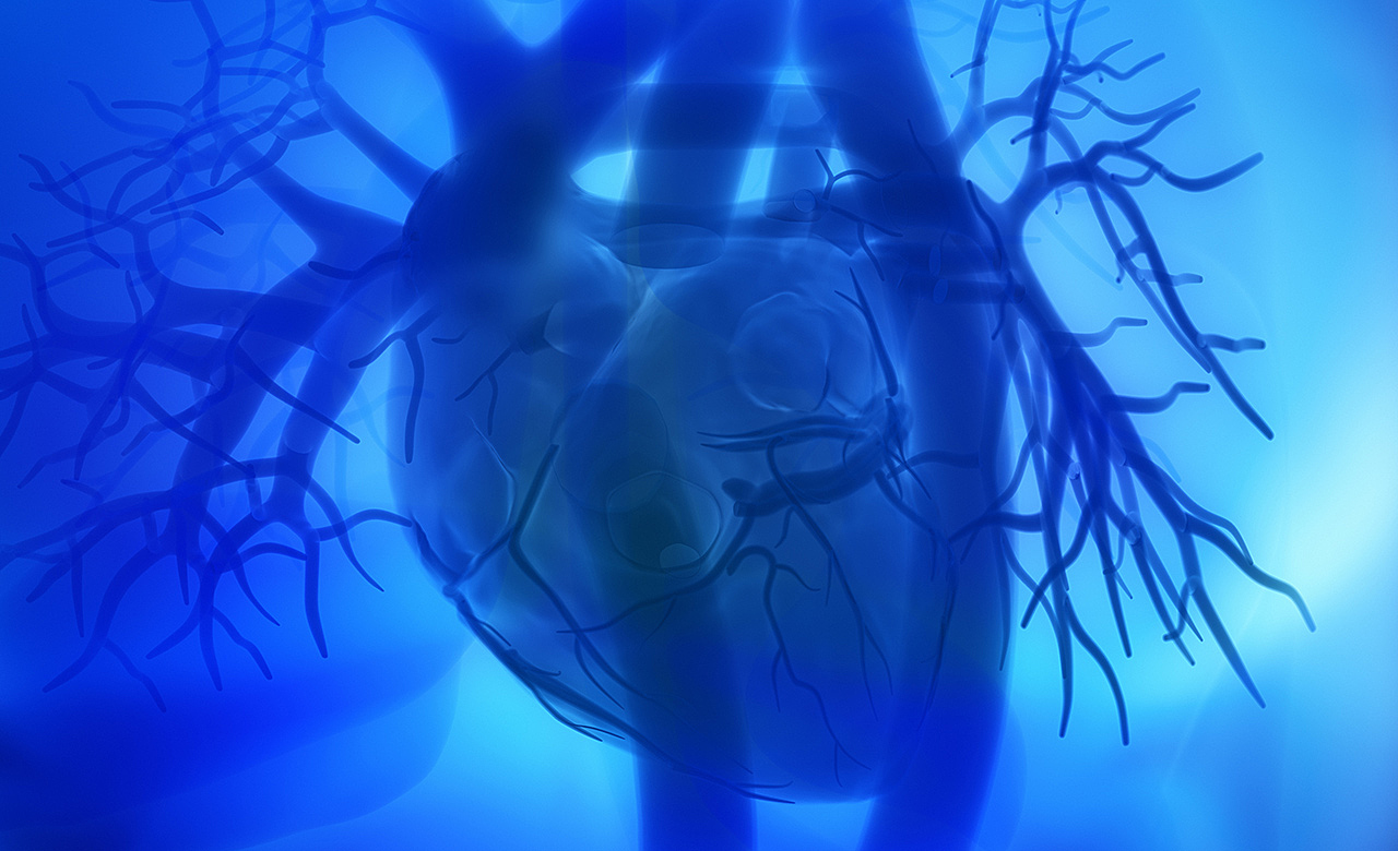 Найден способ избежать повреждений сердца при нехватке кислорода
