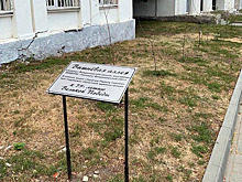 Руководитель пионерской организации объяснила, что случилось с вишневой аллеей в Центральном парке