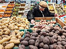 «Это какой-то позор, товарищи!». Цены на картошку в России бьют исторические рекорды