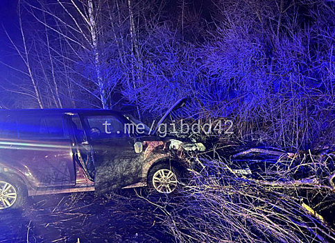 В Кузбассе водитель иномарки погиб при наезде на дерево