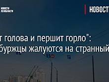 "Болит голова и першит горло": петербуржцы жалуются на странный туман