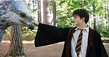 "Гарри Поттер" – первый среди лучших: составлен рейтинг удачных экранизаций