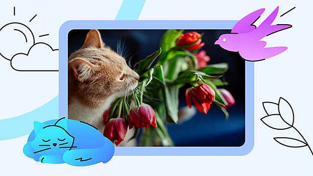 Памятка: какие растения опасны для кошек
