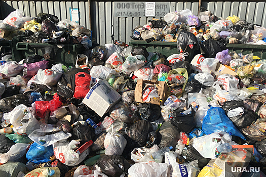 Прокуратура отреагировала на невывоз мусора в Челябинской области