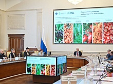 На совете СиббиоНОЦ рассмотрели новые проекты в аграрной и медицинской сферах