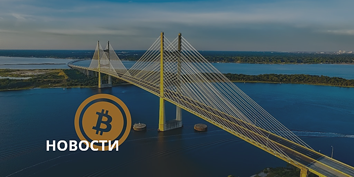 Создатели биржи алькоинов CryptoBridge освежили план развития проекта