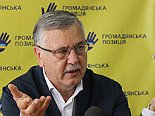 «Все пиар, кроме некролога» — эксперт об уголовных делах против Гриценко