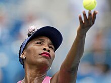 Винус, Возняцки, Изнер, Джонсон получили wild card на US Open