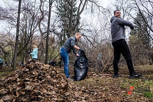 Власти Тюмени пообещали в этом году вывезти из лога 1,5 тысячи тонн мусора