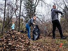 Власти Тюмени пообещали в этом году вывезти из лога 1,5 тысячи тонн мусора
