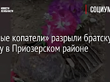 «Чёрные копатели» разрыли братскую могилу в Приозерском районе