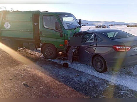 Мусоровоз–убийца снова унес человеческие жизни
