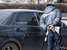 В Волгограде ищут браконьеров, учинивших расправу над косулями и кабанами