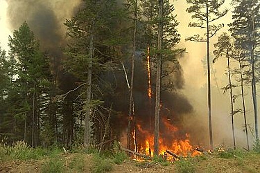 В северном районе Хабаровского края ввели режим ЧС из-за лесных пожаров